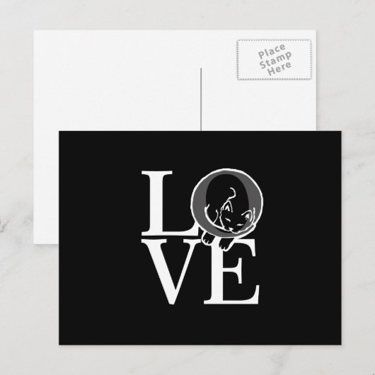 Kat Love on Black Decor Briefkaart (Voorkant / Achterkant)