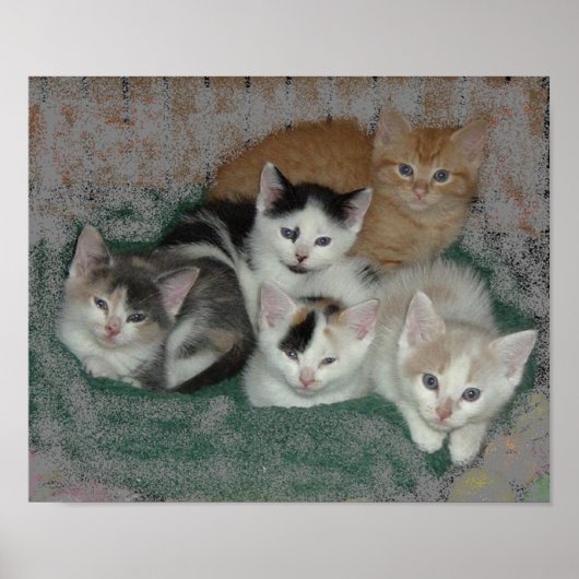 Kat Love Poster (Voorkant)