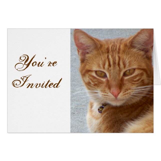 Kat Lover_ (Voorkant Horizontaal)