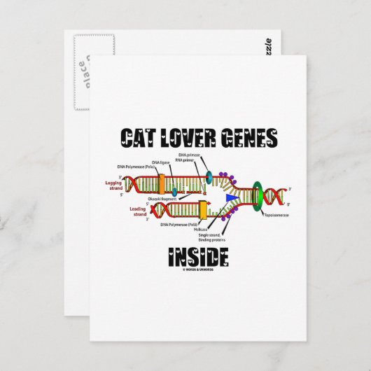 Kat Lover Genes Inside (DNA-replicatie) Briefkaart (Voorkant / Achterkant)