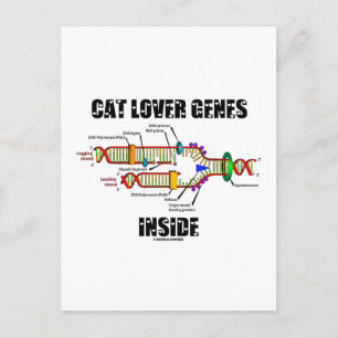 Kat Lover Genes Inside (DNA-replicatie) Briefkaart