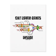 Kat Lover Genes Inside (DNA-replicatie)