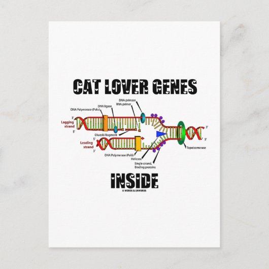 Kat Lover Genes Inside (DNA-replicatie) Briefkaart (Voorkant)