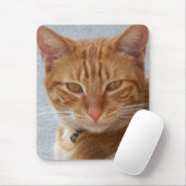 Kat Lover_ Muismat (Met muis)