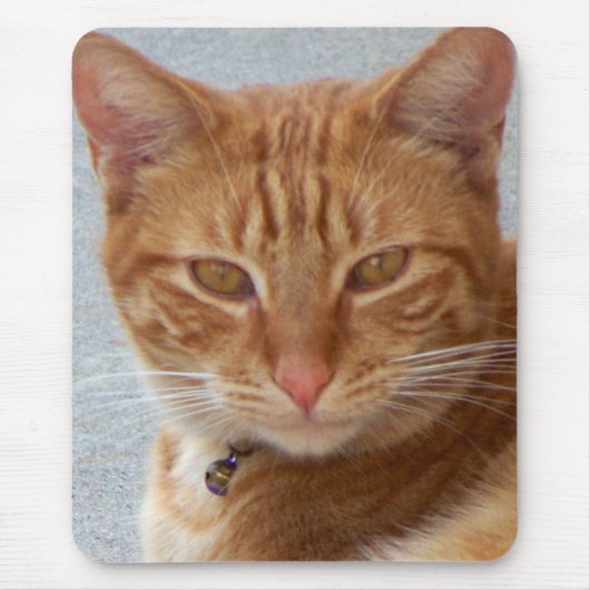 Kat Lover_ Muismat (Voorkant)