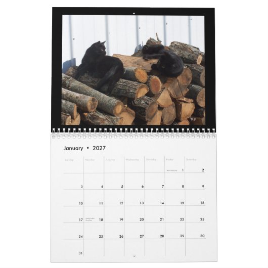 Kat Lovers 2014 kalender-EDIT JAAR zoals nodig Kalender (Jan 2027)
