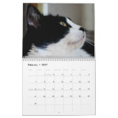 Kat Lovers 2014 kalender-EDIT JAAR zoals nodig Kalender (Feb 2027)
