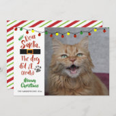Kat Lovers, "Beste kerstman, de hond deed het (ech Feestdagenkaart (Voorkant / Achterkant)
