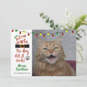 Kat Lovers, "Beste kerstman, de hond deed het (ech Feestdagenkaart (Staand voorkant)