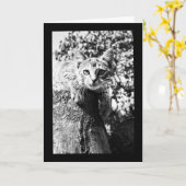 Kat Lovers Birthday Card, juweel Kitten Kaart (Gele Bloem)