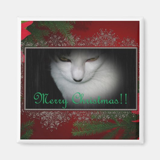 Kat Lovers Christmas!! Magneet (Voorkant)