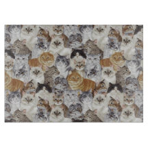 Kat Lovers getemperd glas