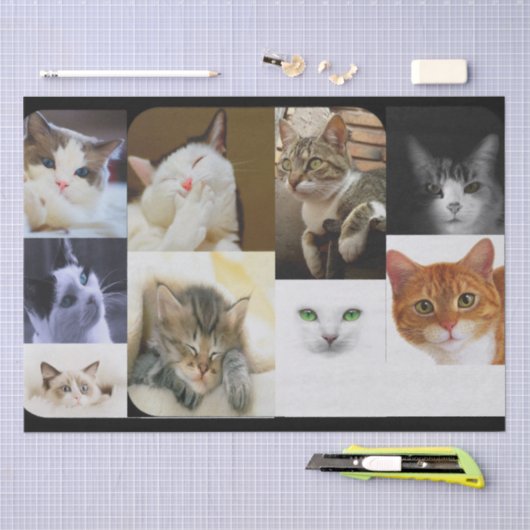 Kat Lovers-weefselpapier Tissuepapier (Craft)