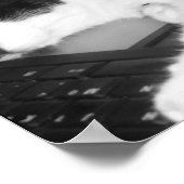 Kat Lovings... Poster (Hoek)