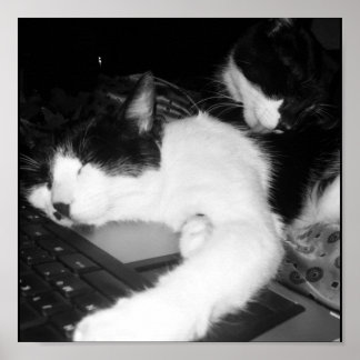 Kat Lovings... Poster