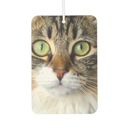 Kat Luchtverfrisser (Voorkant)