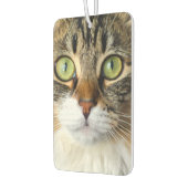 Kat Luchtverfrisser (Links)