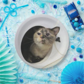 Kat-luiers Papieren Bordje (Feest)