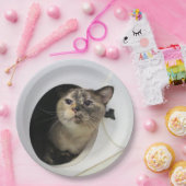 Kat-luiers Papieren Bordje (Feest)