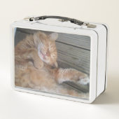 Kat Lunch Box (Achterkant)