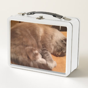 Kat Lunch Box