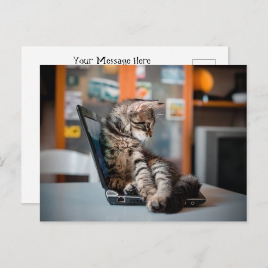 Kat Lying op Notitieboek Briefkaart (Voorkant / Achterkant)