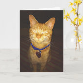 Kat maakt een waanzin kaart (Gele Bloem)