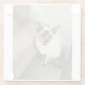 Kat magie glazen onderzetter (Achterkant)