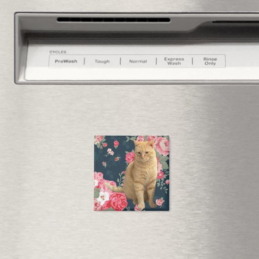  Kat Magneet (Insitu (Vaatwasser))