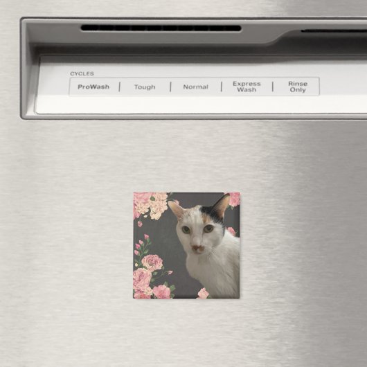  Kat Magneet (Insitu (Vaatwasser))