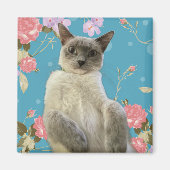  Kat Magneet (Voorkant)