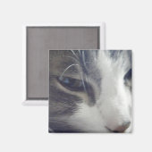  Kat Magneet (Voorkant / Achterkant)