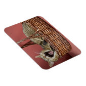 Kat. Magneet (Rechterzijde)