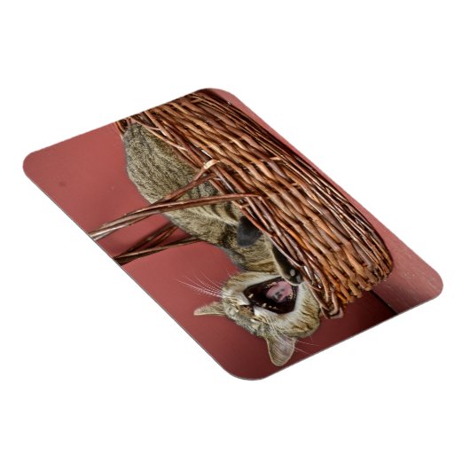 Kat. Magneet (Rechterzijde)