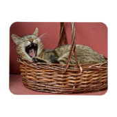 Kat. Magneet (Horizontaal)