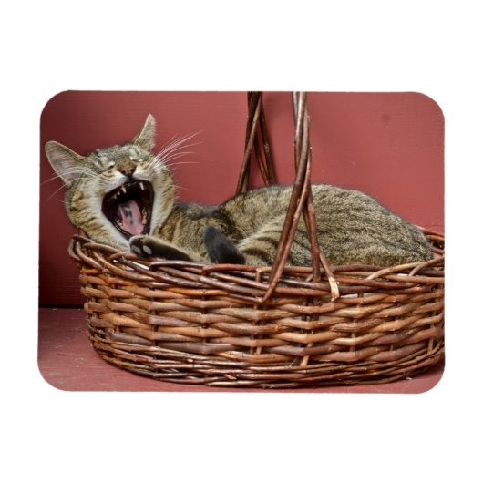 Kat. Magneet (Horizontaal)