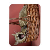 Kat. Magneet (Verticaal)