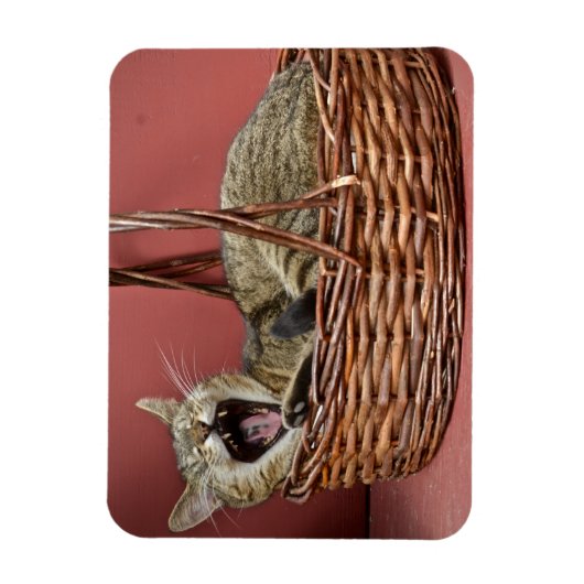 Kat. Magneet (Verticaal)