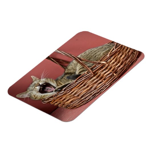 Kat. Magneet (Linkerzijde)