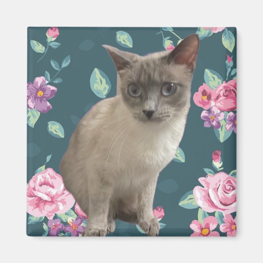 Kat Magneet (Voorkant)