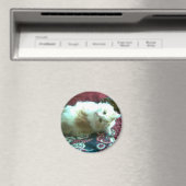 kat magneet (Insitu (Vaatwasser))