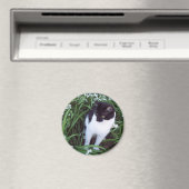 Kat magneet (Insitu (Vaatwasser))