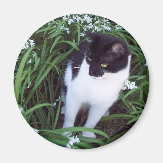 Kat magneet (Voorkant)