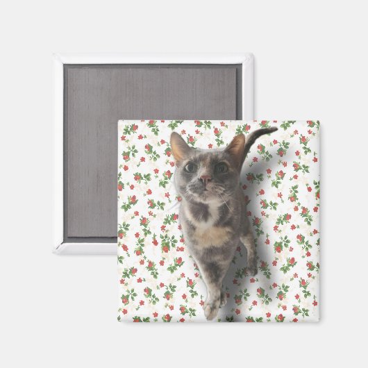  Kat Magneet (Voorkant / Achterkant)