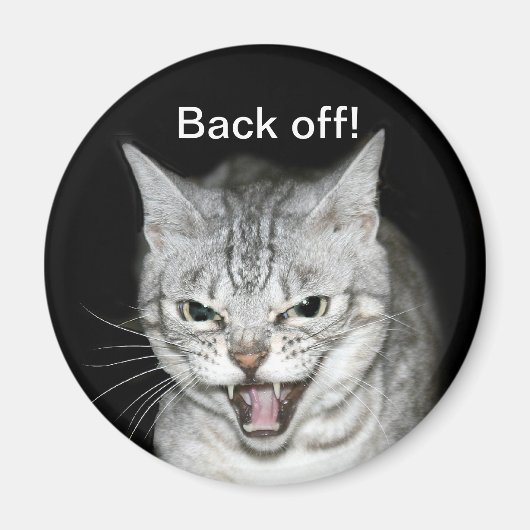 Kat Magneet (Voorkant)