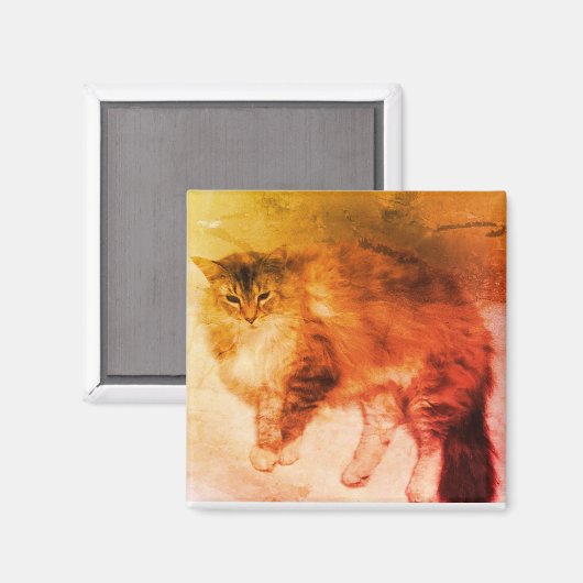 Kat magneet (Voorkant / Achterkant)