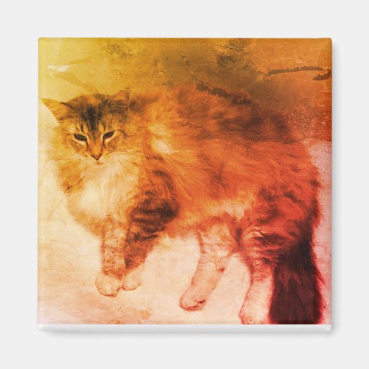 Kat magneet (Voorkant)