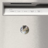 Kat Magneet (Insitu (Vaatwasser))