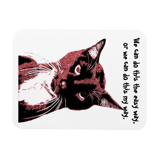 Kat magneet (Horizontaal)