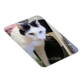 Kat magneet (Rechterzijde)
